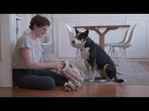 Hide A Raccoon Plush Dog Toy Puzzle, Grey