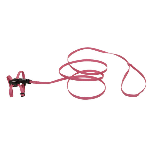 Harness
Li'l Pals Adjustable Kitten Harness and 6' Leash Combo