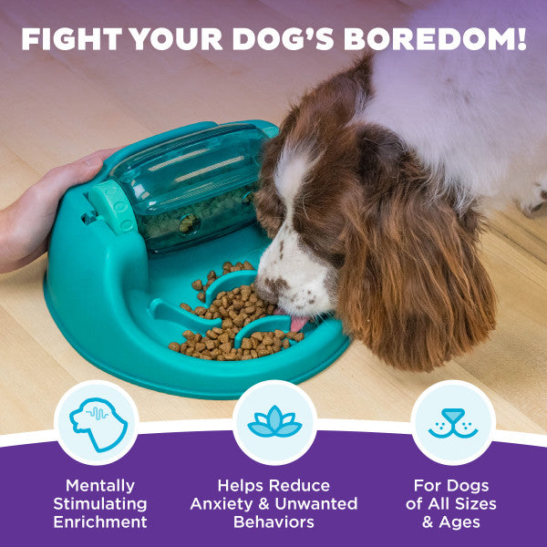 Dog Spin N' Eat Grn