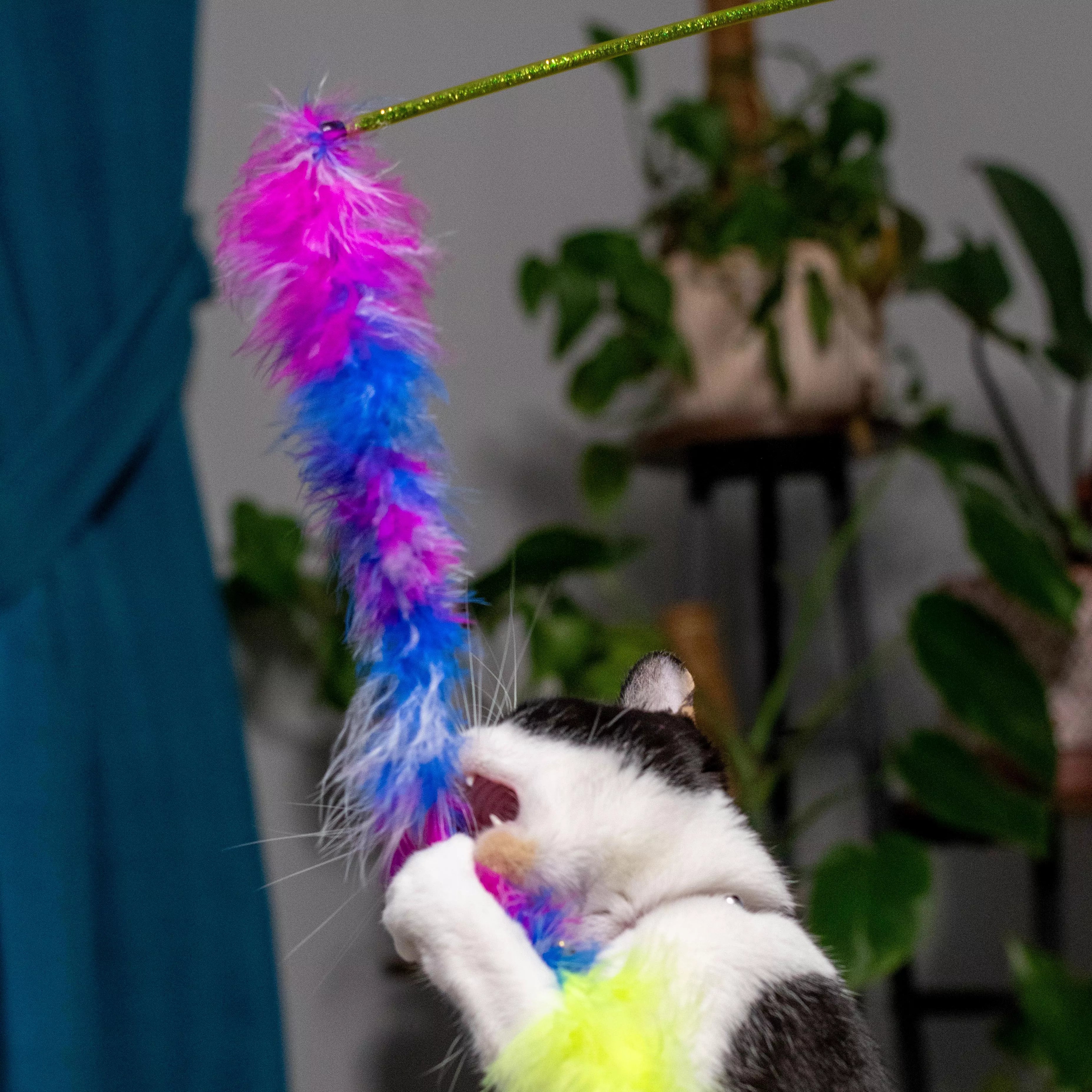 Turbo Feather Tail Teaser