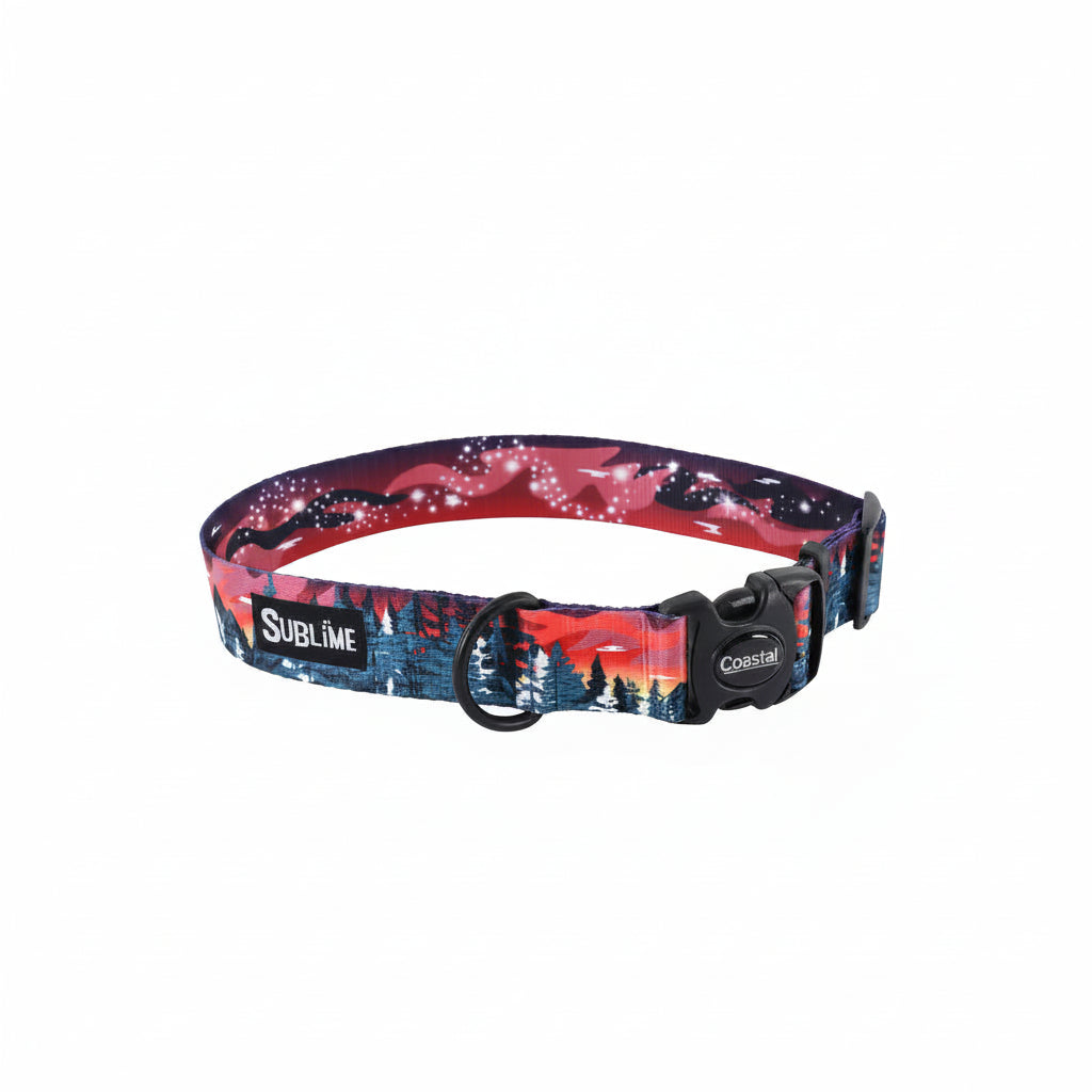Coastal Sublime Adjustable Dog Collar Purple Mountain XS 8"-12"