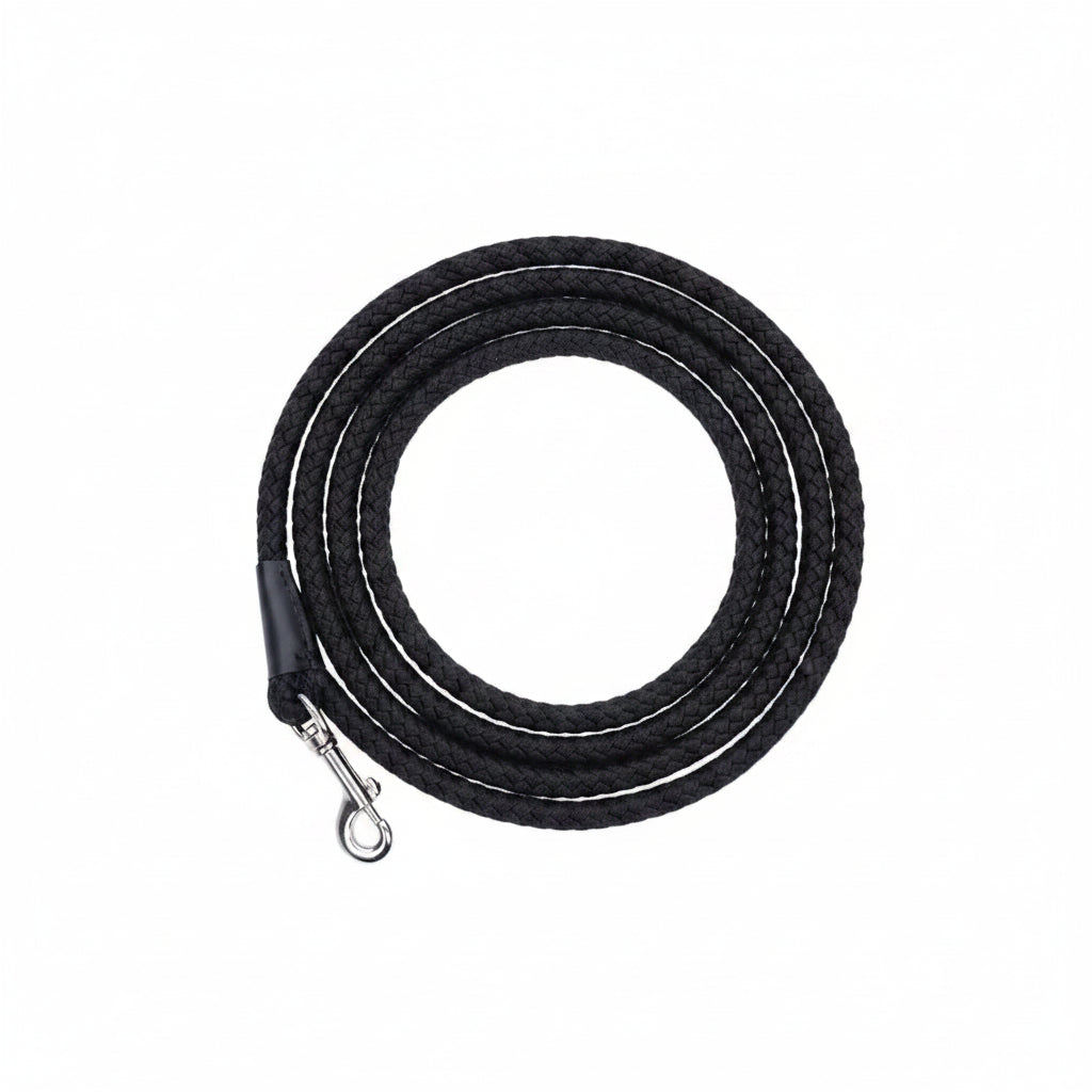 Coastal Rope Dog Leash