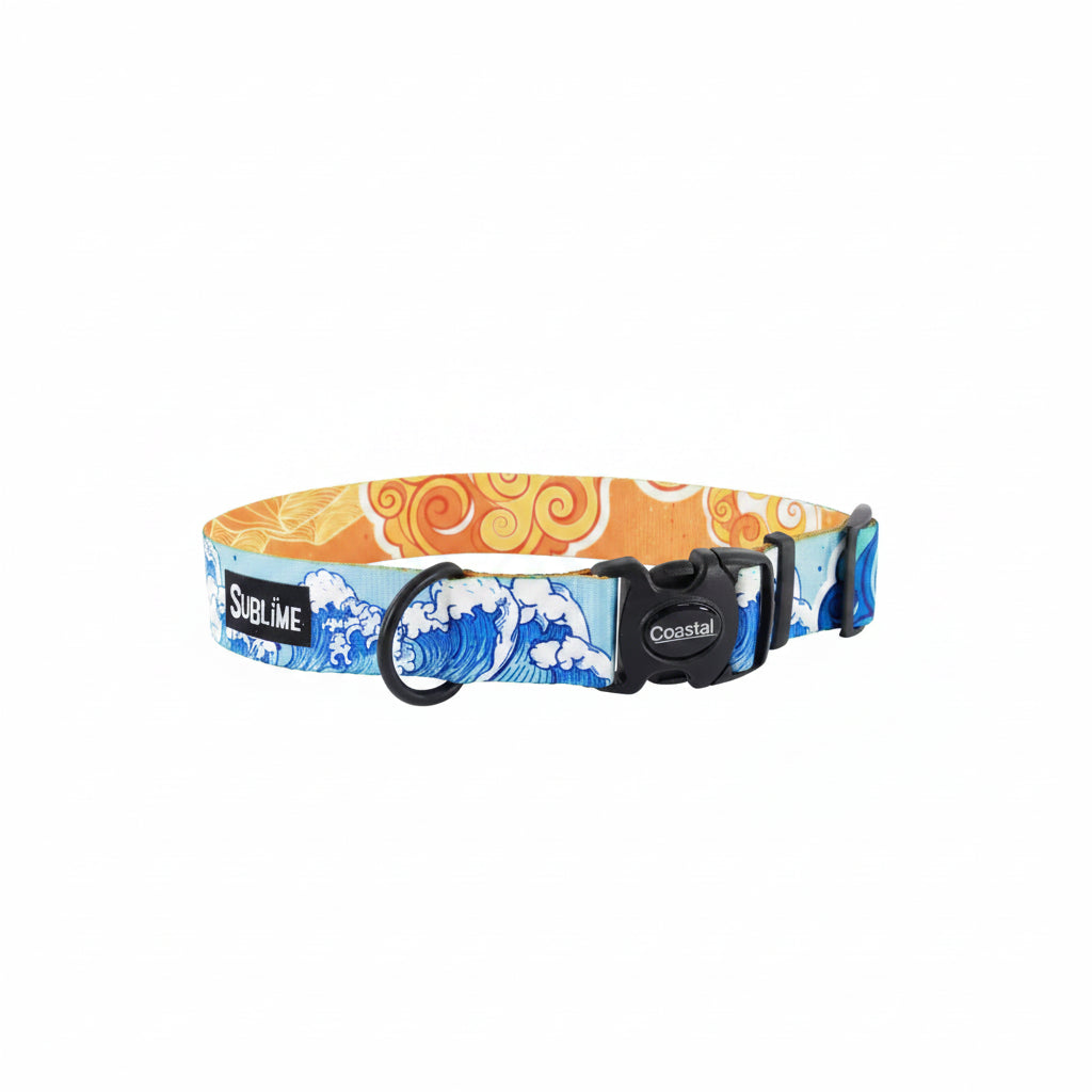 Coastal Sublime Adjustable Dog Collar Land and Sea