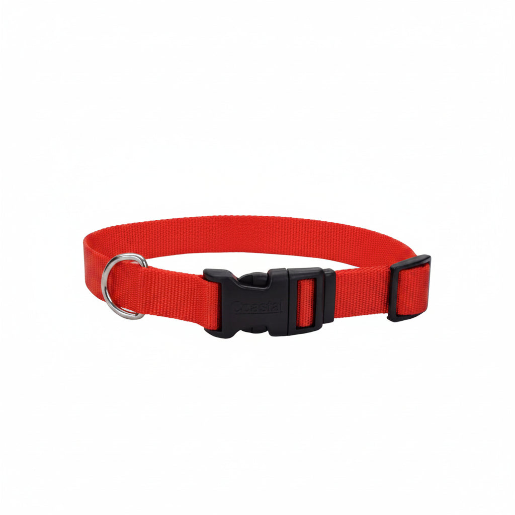 Coastal Adjustable Dog Collar with Plastic Buckle