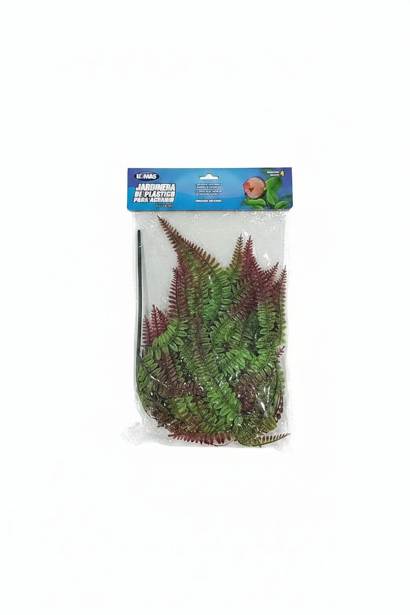 Reptile Plants