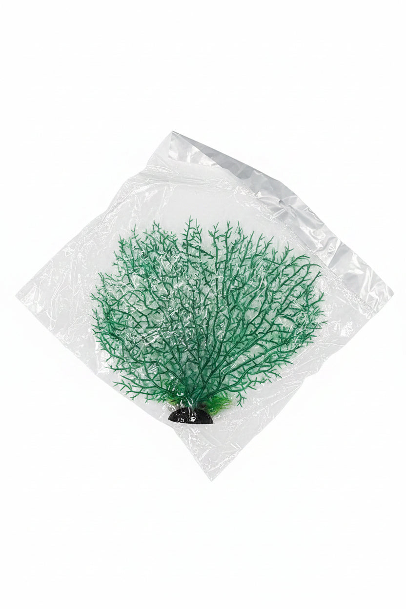 Seafan Coral Plants
