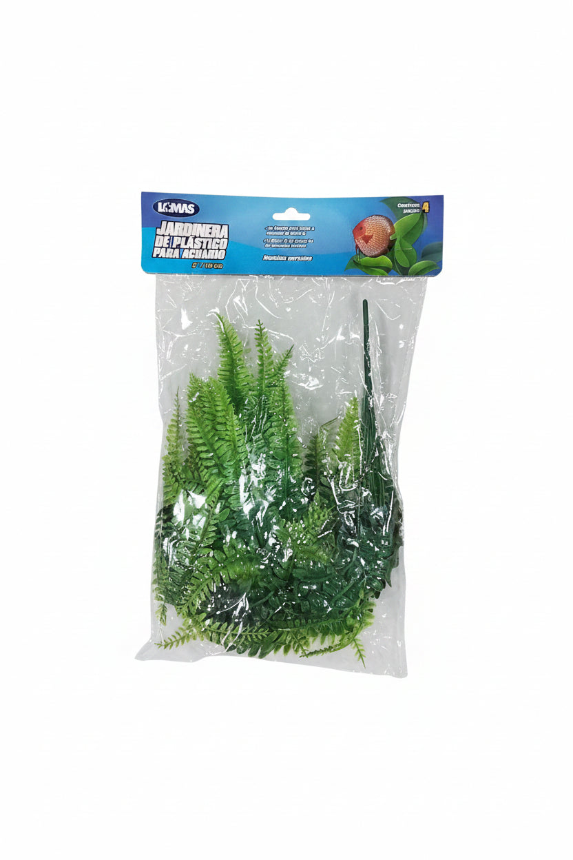 Reptile Plants