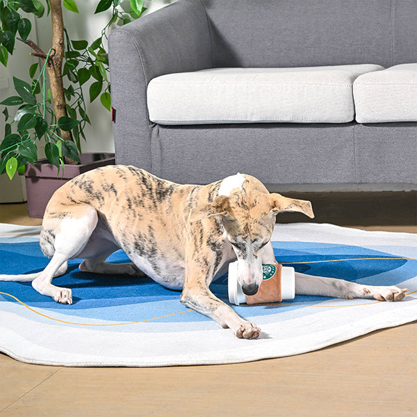 Coffee Hour — StarPaws Coffee | TPR Rubber Dog Toy