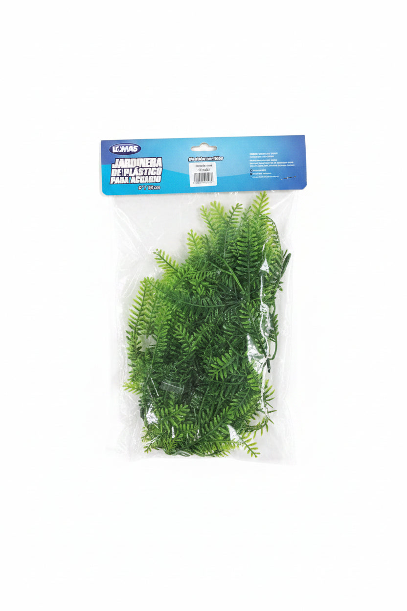 Reptile Plants
