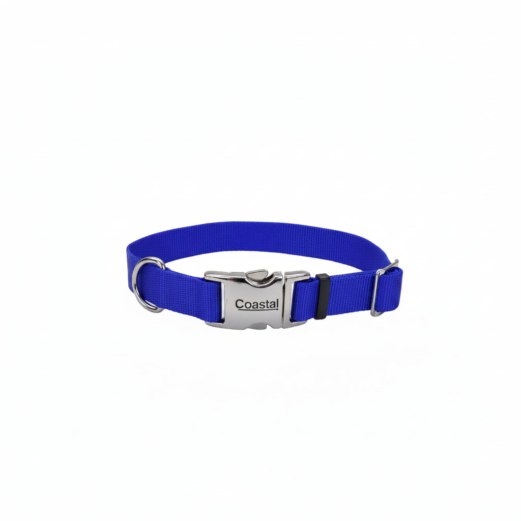 Coastal Adjustable Dog Collar with Metal Buckle