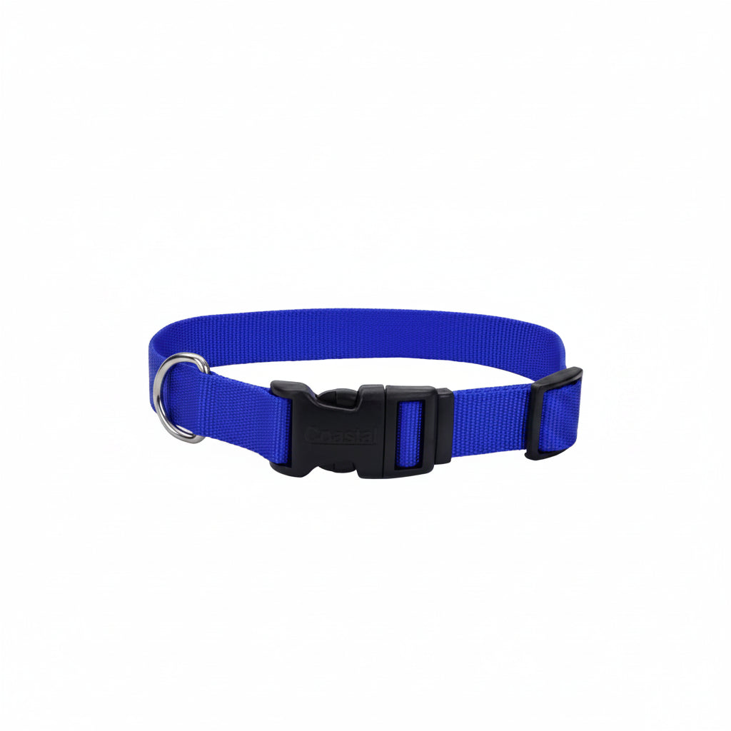 Coastal Adjustable Dog Collar with Plastic Buckle