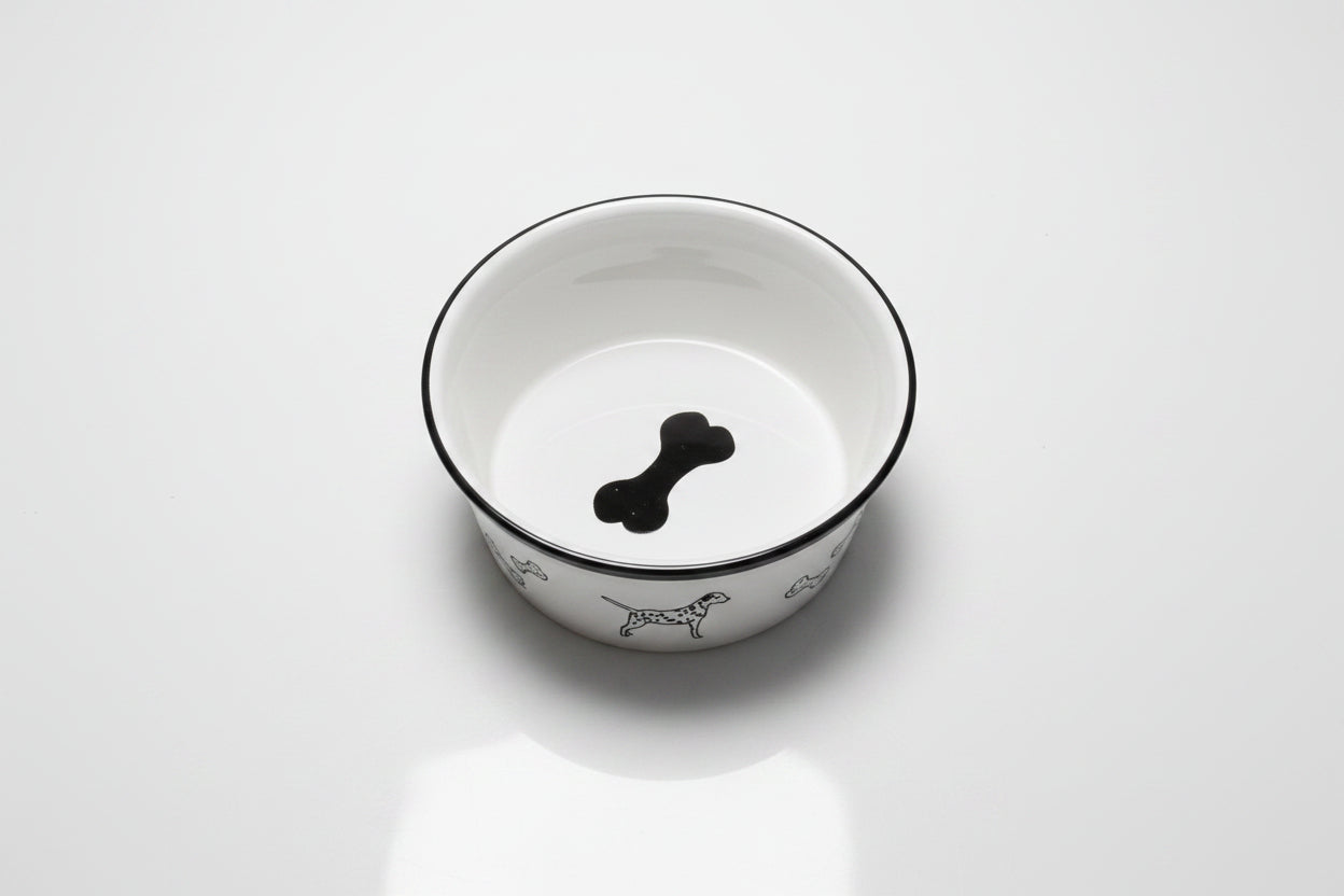 Ceramic Dog Bowl