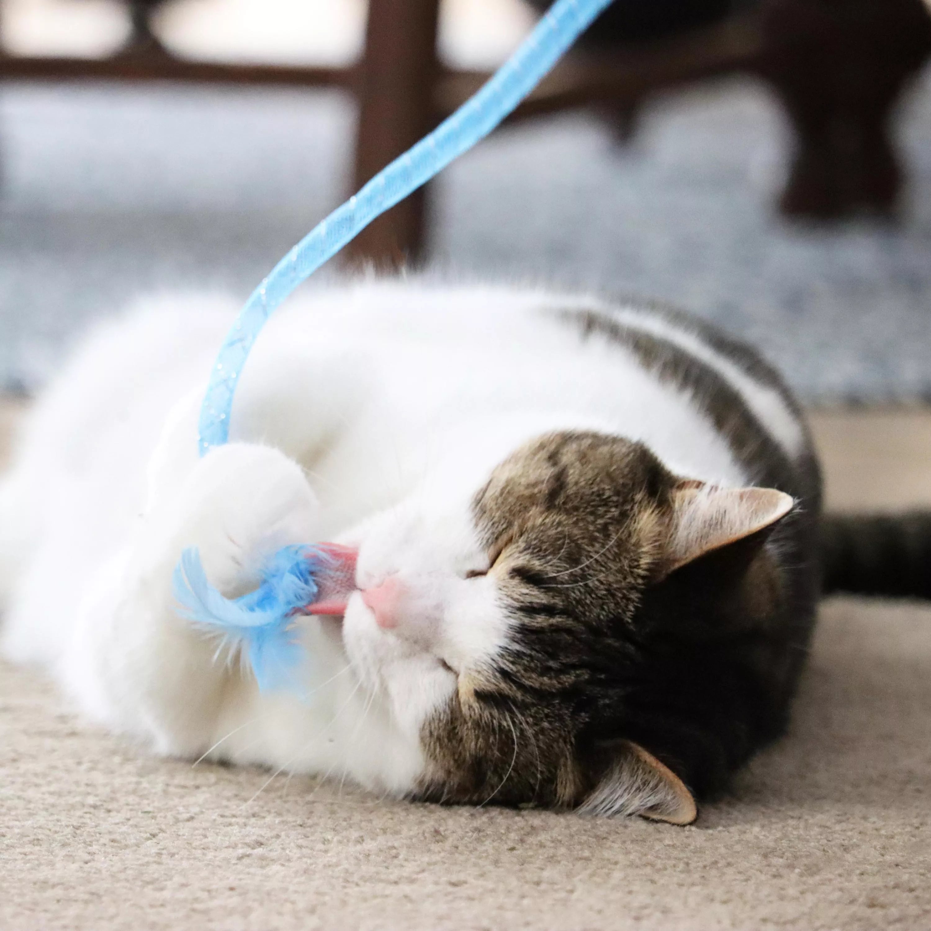 Turbo Wood Wand Cat Toy
