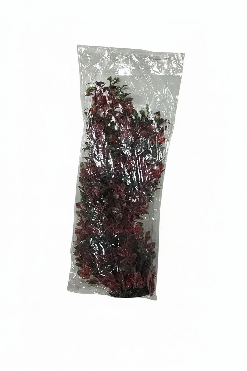 Aquarium Plants