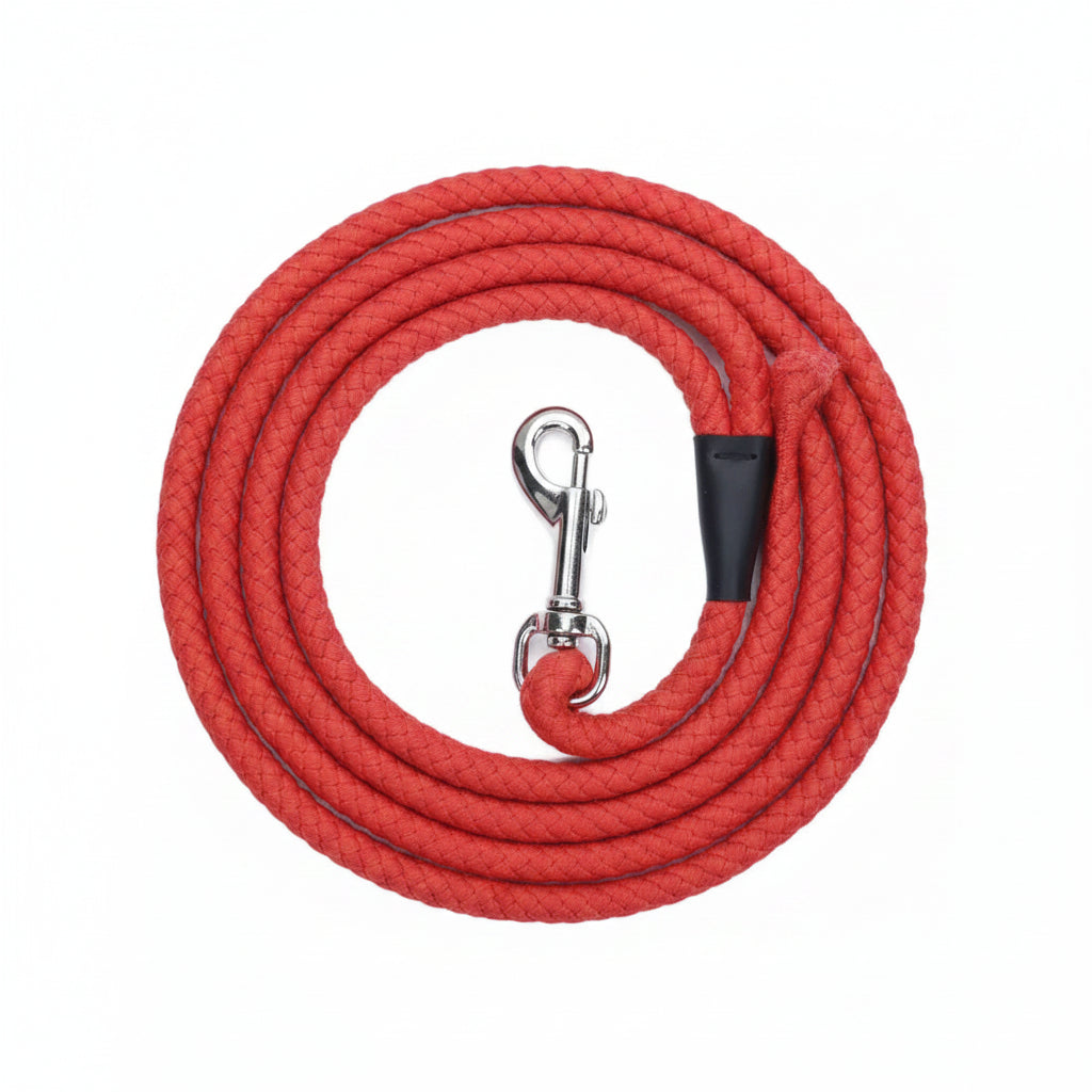 Coastal Rope Dog Leash