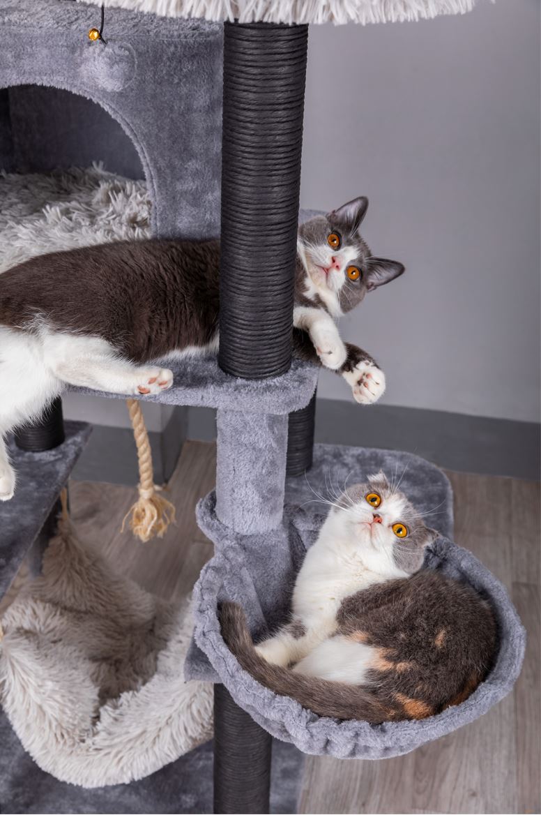 Catry Bradbury 7 Level Gray Cat Tree With Scratching Posts, Condo, Hammock and Two Shag Fur Cushions.