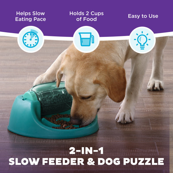 Dog Spin N' Eat Grn