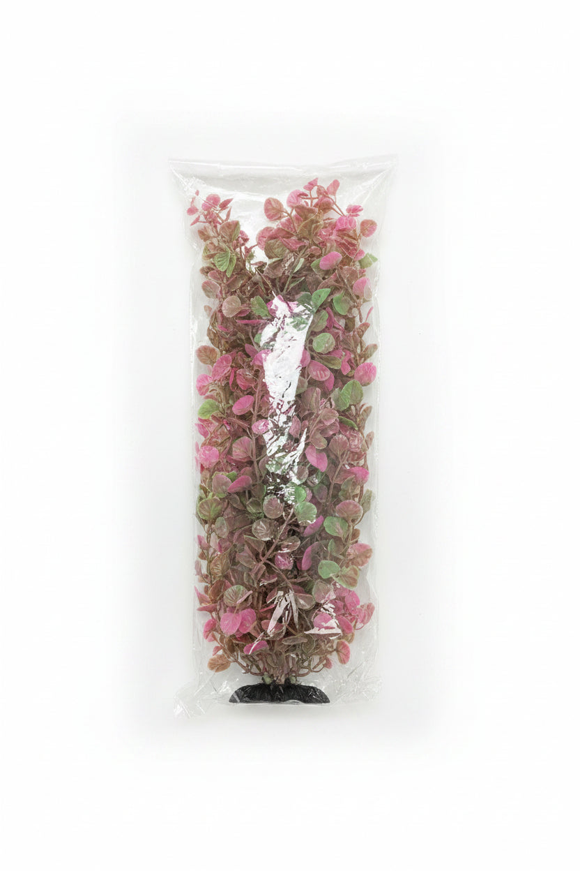 Aquarium Plants