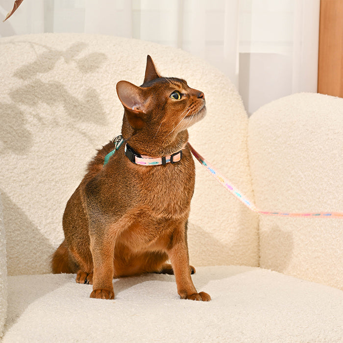 Cat Harness & Leash Set— Fish