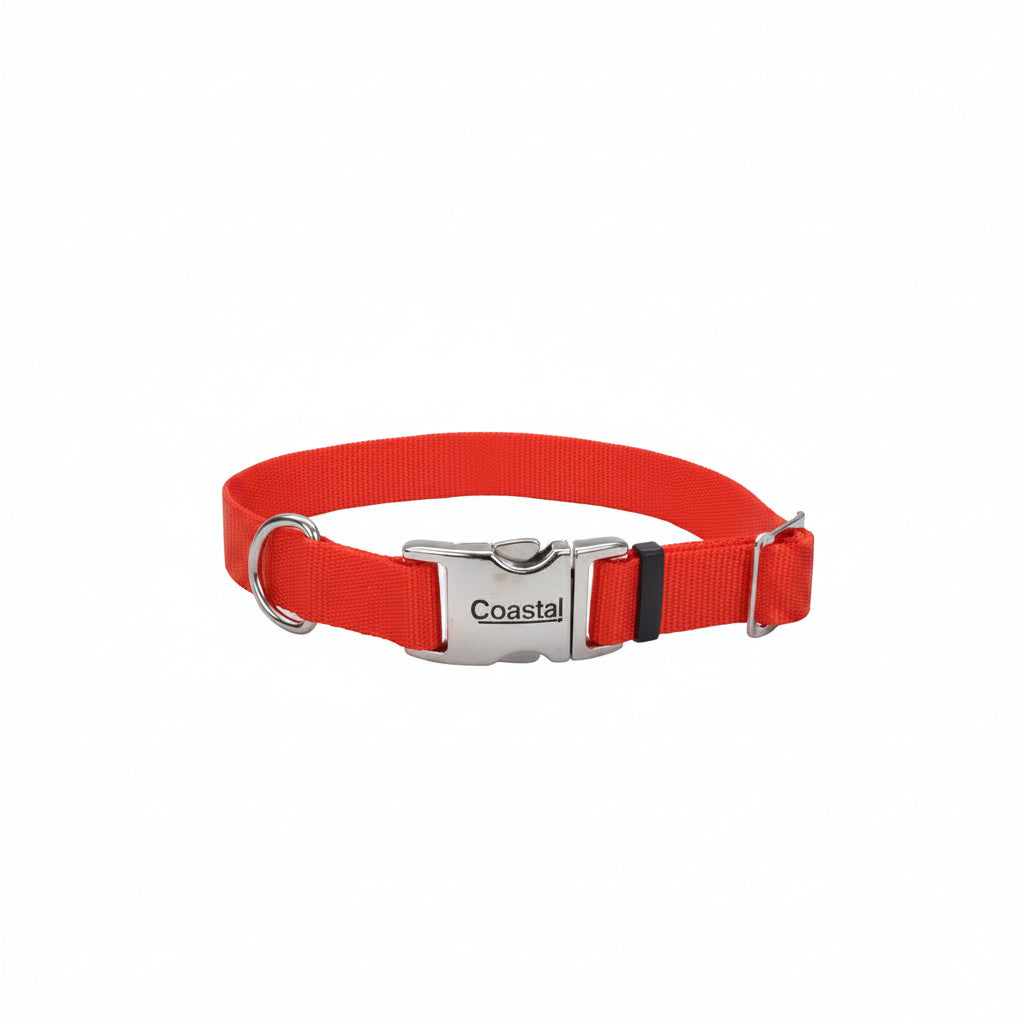 Coastal Adjustable Dog Collar with Metal Buckle