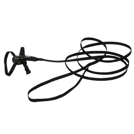 Harness
Li'l Pals Adjustable Kitten Harness and 6' Leash Combo
