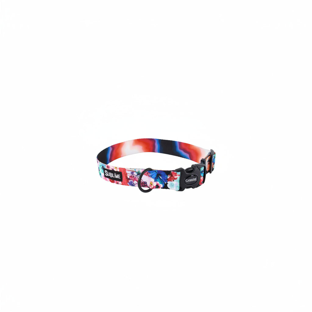 Coastal Sublime Adjustable Dog Collar Floral Jelly