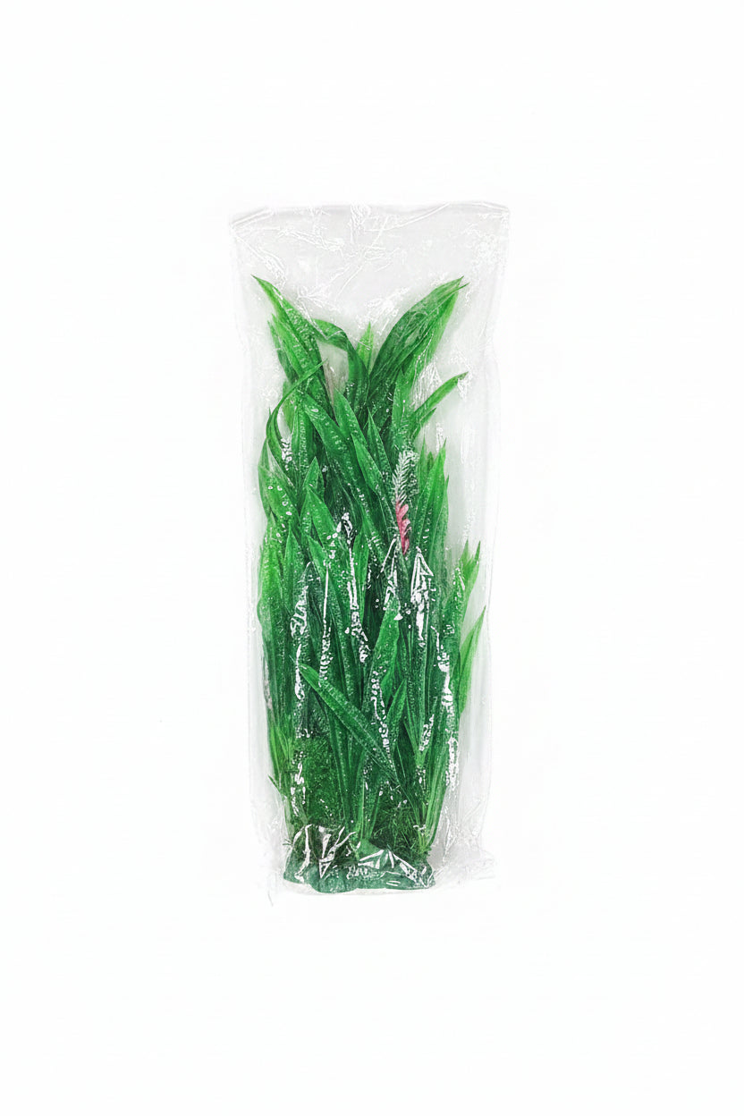 Aquarium Plants