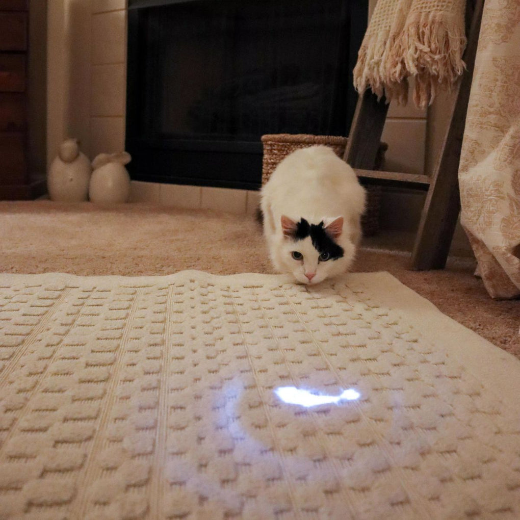Turbo Cat LED Pointer Butterfly / Mouse Light