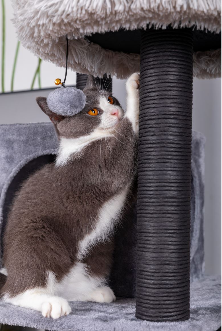 Catry Bradbury 7 Level Gray Cat Tree With Scratching Posts, Condo, Hammock and Two Shag Fur Cushions.