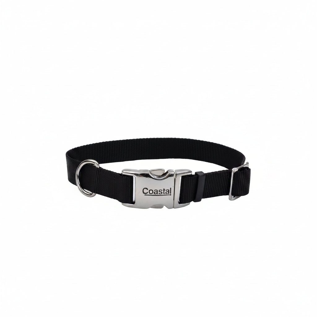 Coastal Adjustable Dog Collar with Metal Buckle