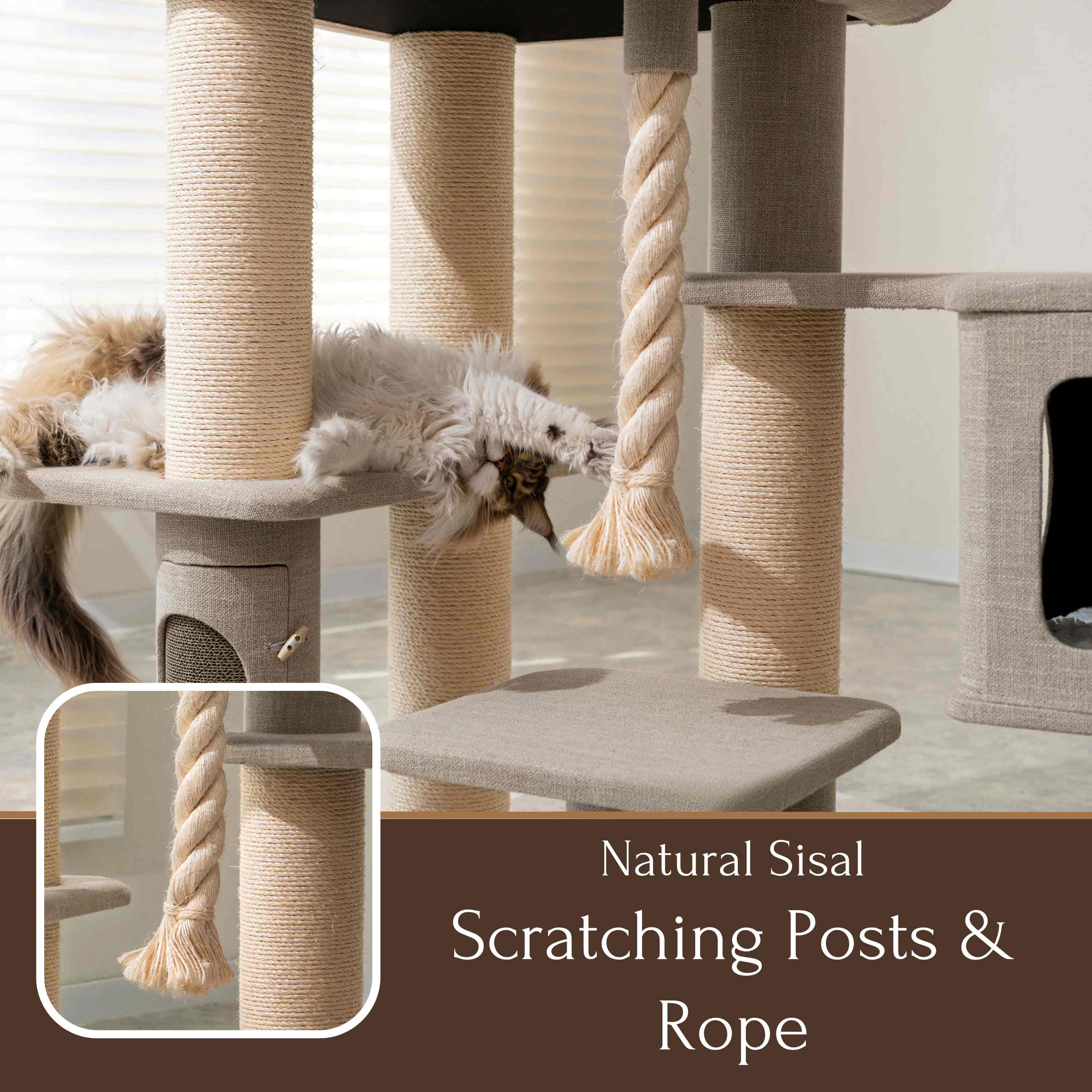 PetPals 71” Grand Maine Coon™ Cat Tree – Ontario