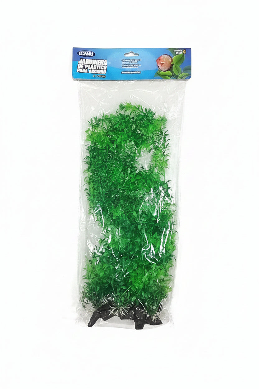 Aquarium Plants