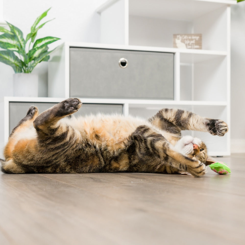 Huxley and Kent Santa Hat & Sweet Thing Candy 2pk Cat Toy