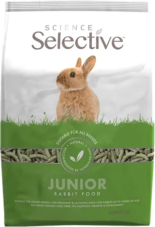 Science Selective Junior Rabbit