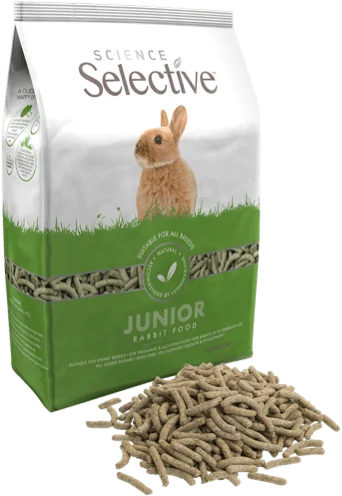 Science Selective Junior Rabbit